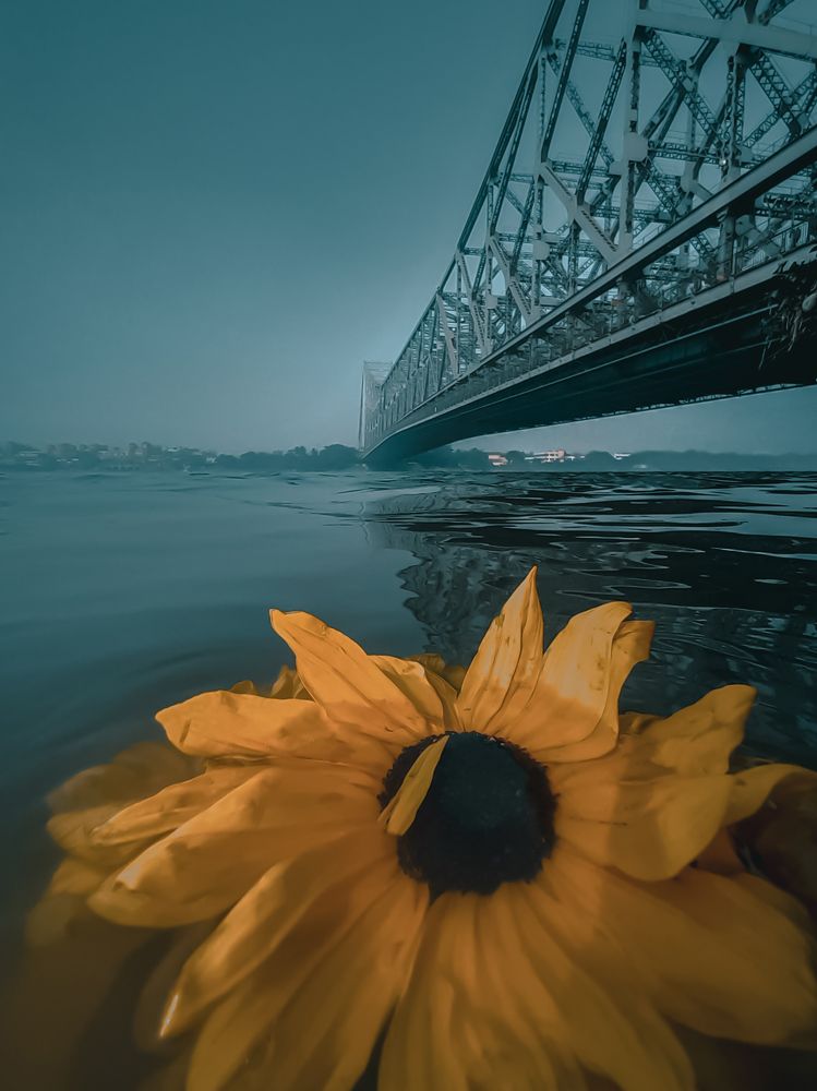 Photograph by Monojit Dutta