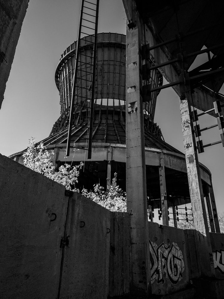 Photograph by Александр Вьюшков