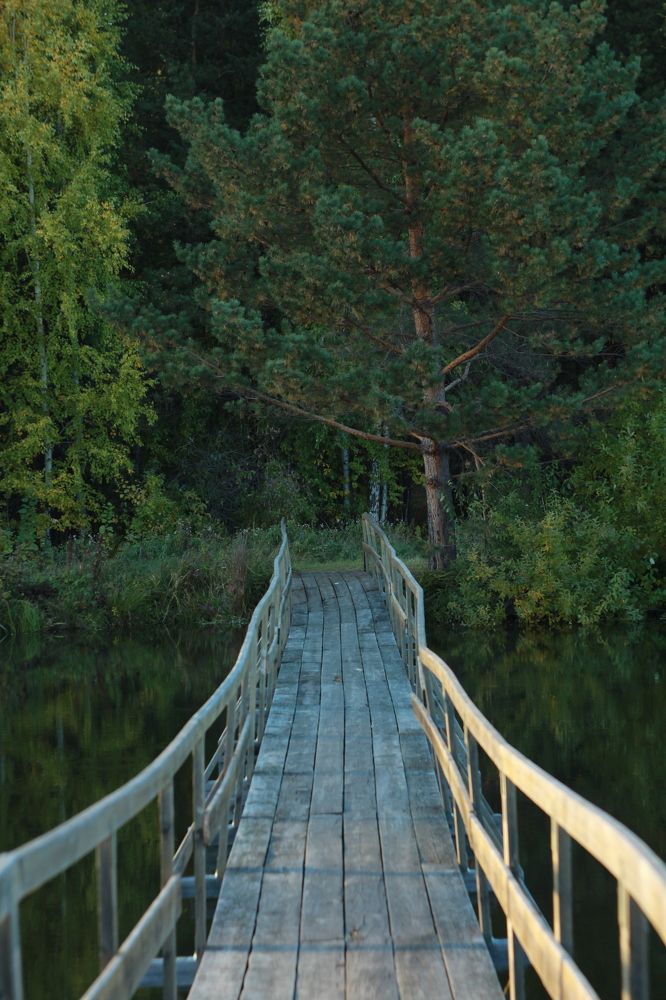 Photograph by Елена Змейкова