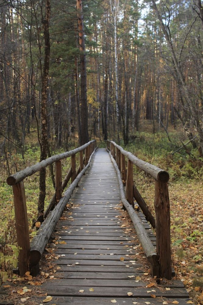 Photograph by Елена Змейкова