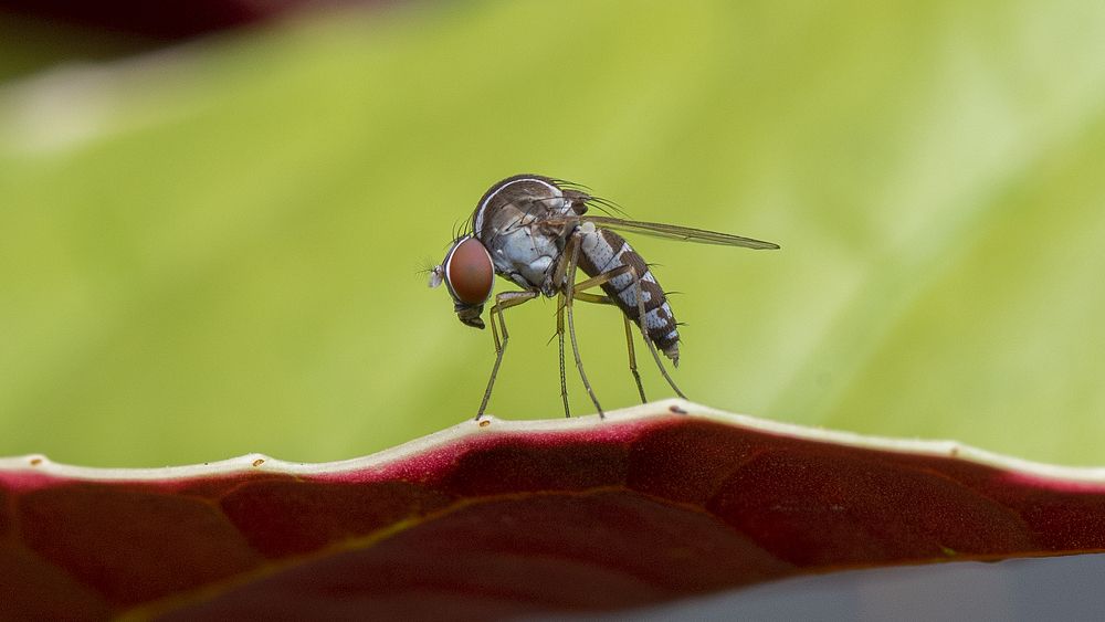 Photograph by Ng Max