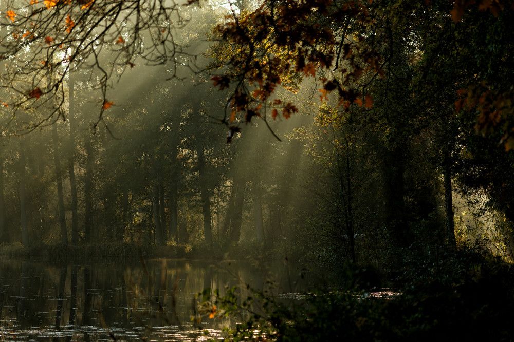 Photograph by Wendy Vanhoudt