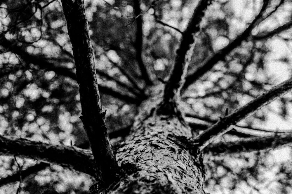 Photograph by Кирилл Станкевич