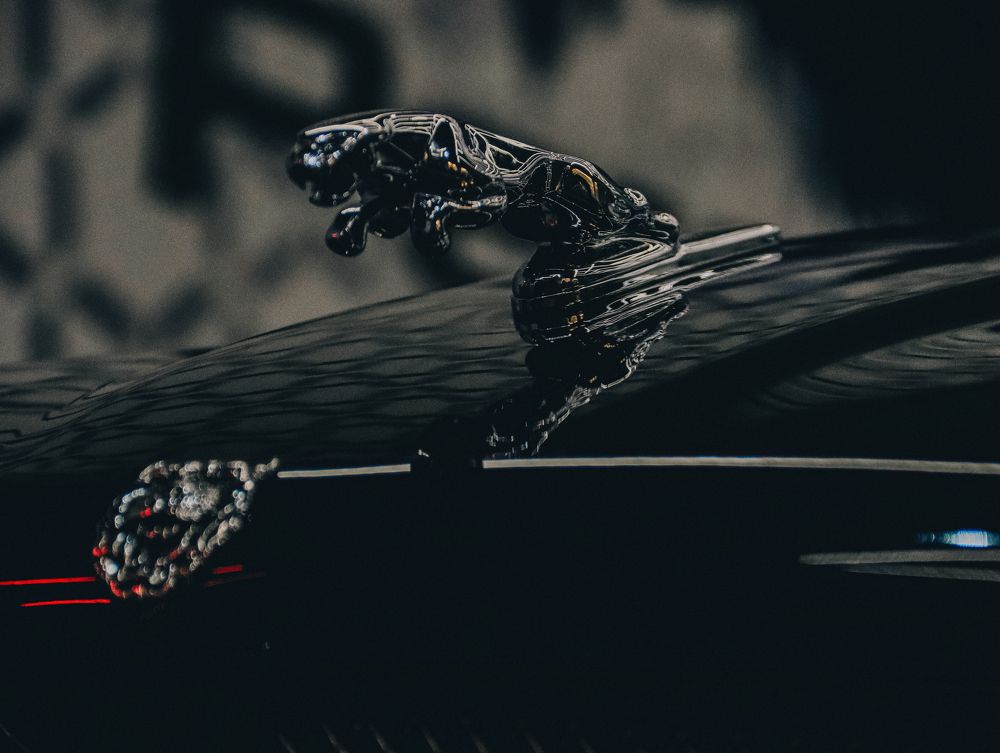 Photograph by Денис Бочаров