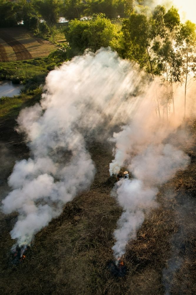 Burning grass for farming!
