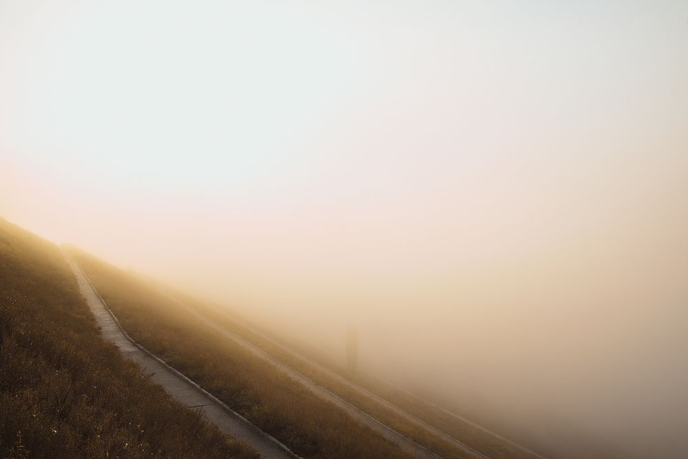 Photograph by Нелли Дзюба