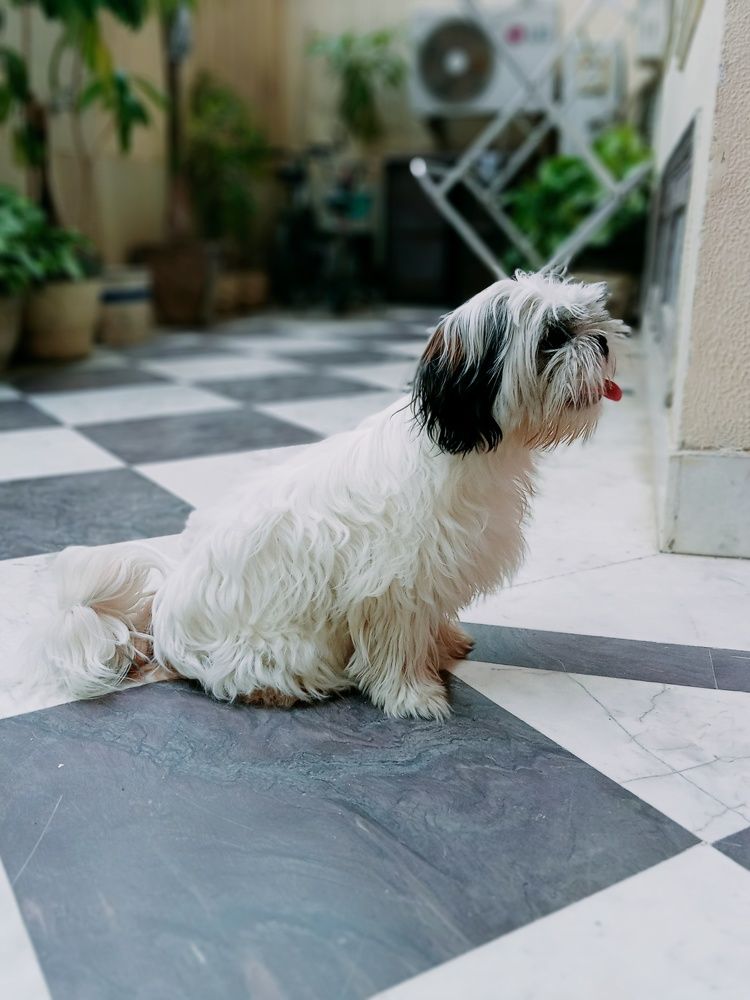 Photo #6774452