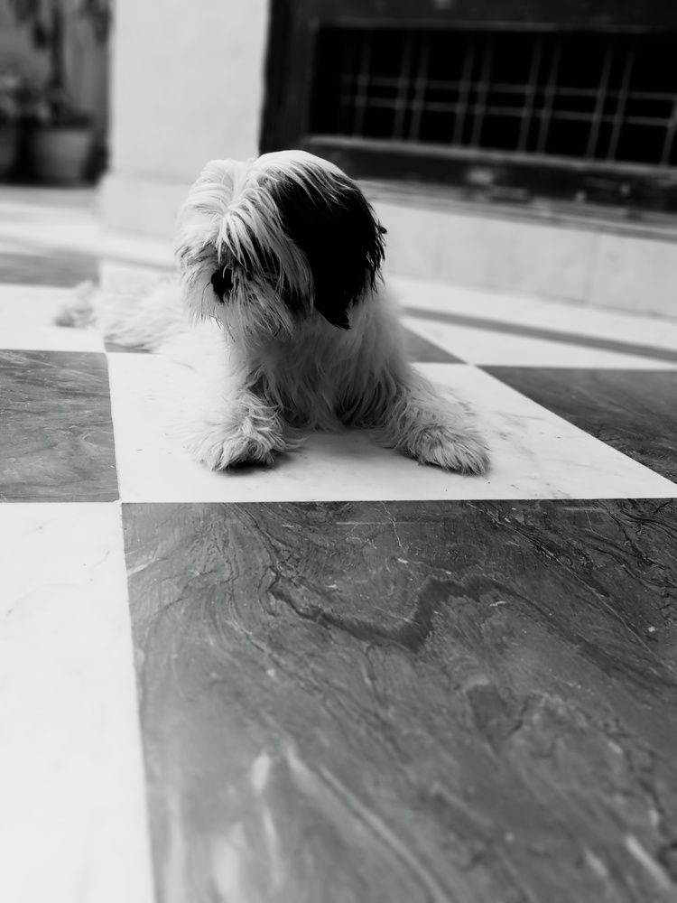 Photo #6774463