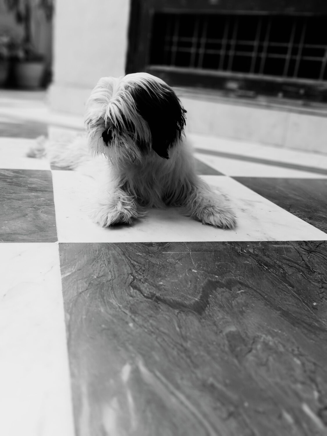 Photo #6774463