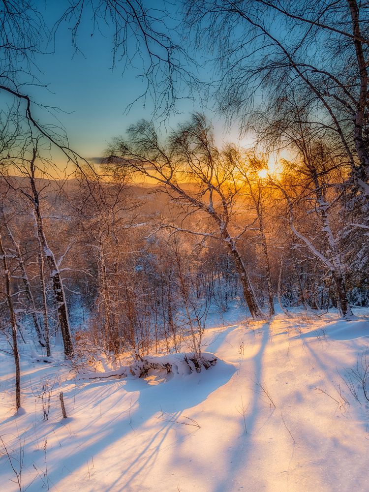 Photograph by Анастасия Глазюк