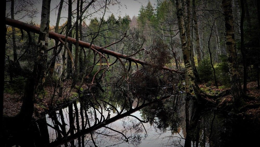 Photograph by Марина Безенкина