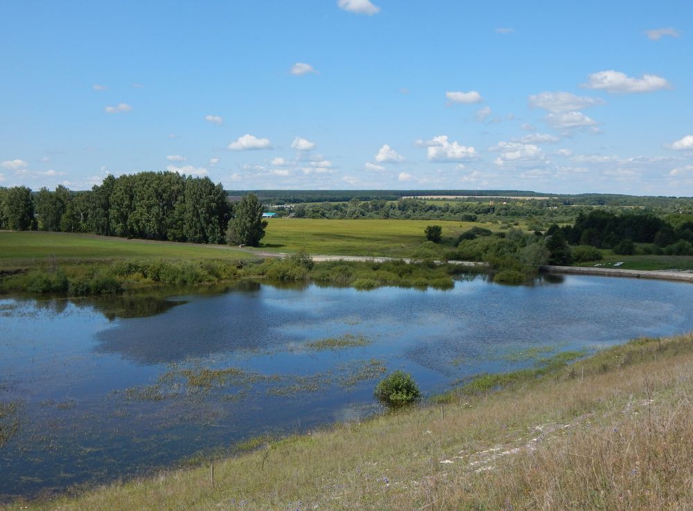 Летний полдень