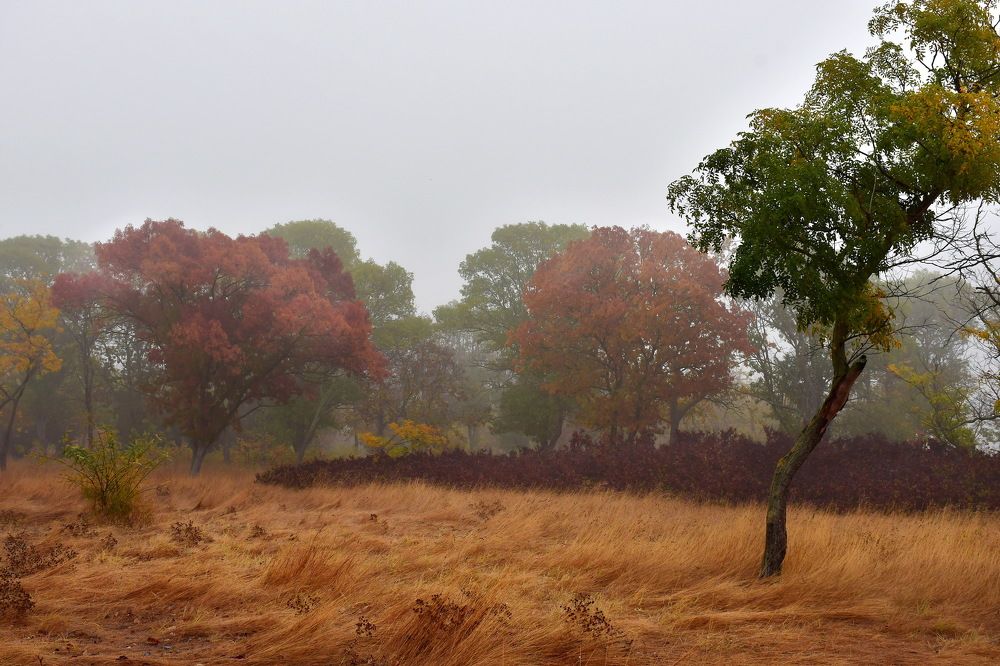 Photograph by Бахарева Людмила