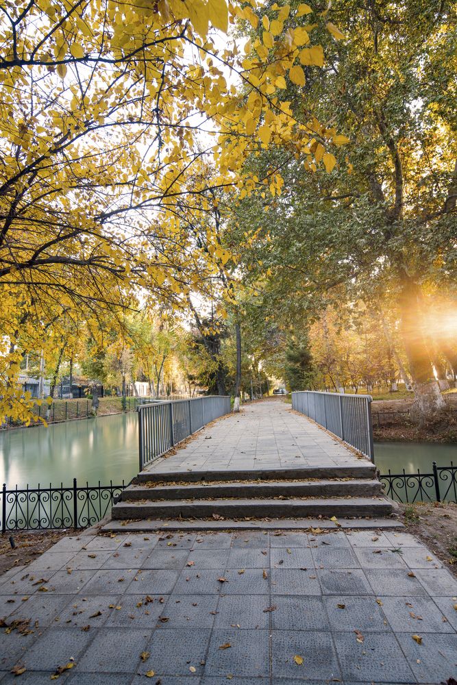 Photograph by Abdulrahman Sawalha