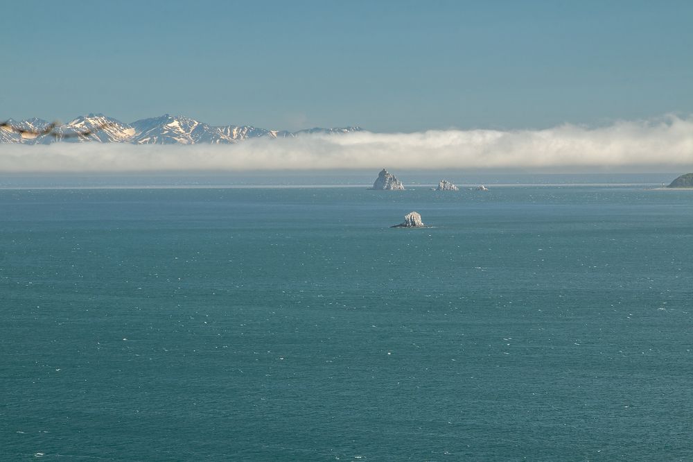Над заливом туман, не видать берегов, корабли белым пленом надолго укрыты.