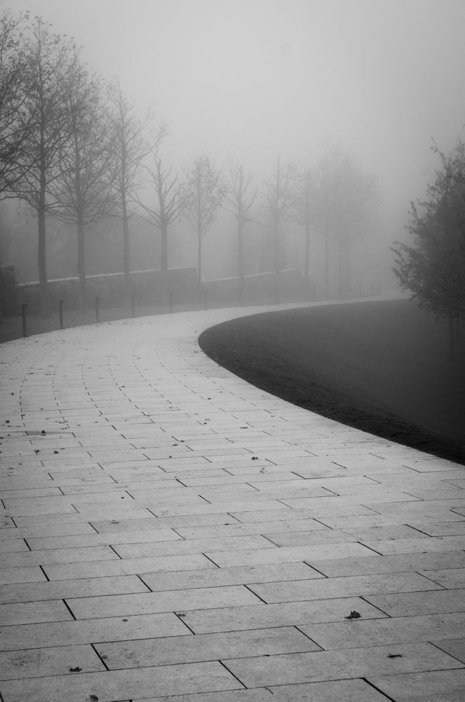 Photograph by Анастасия Кашенко