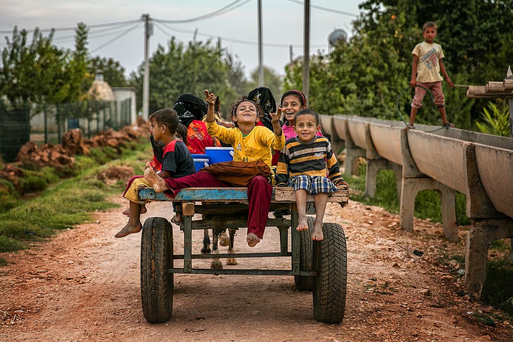 Фотография автора ESENGÜL ALICI