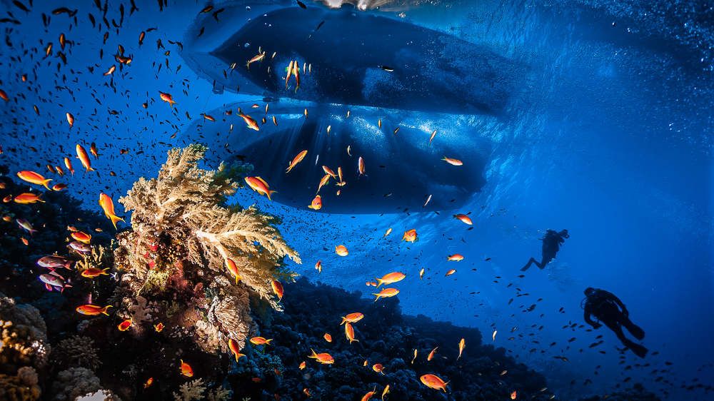 Фотография автора Sergio Agro