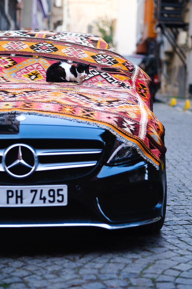 Photograph by Дмитрий Задунайский