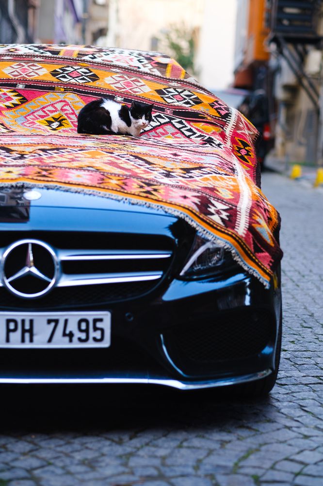 Photograph by Дмитрий Задунайский