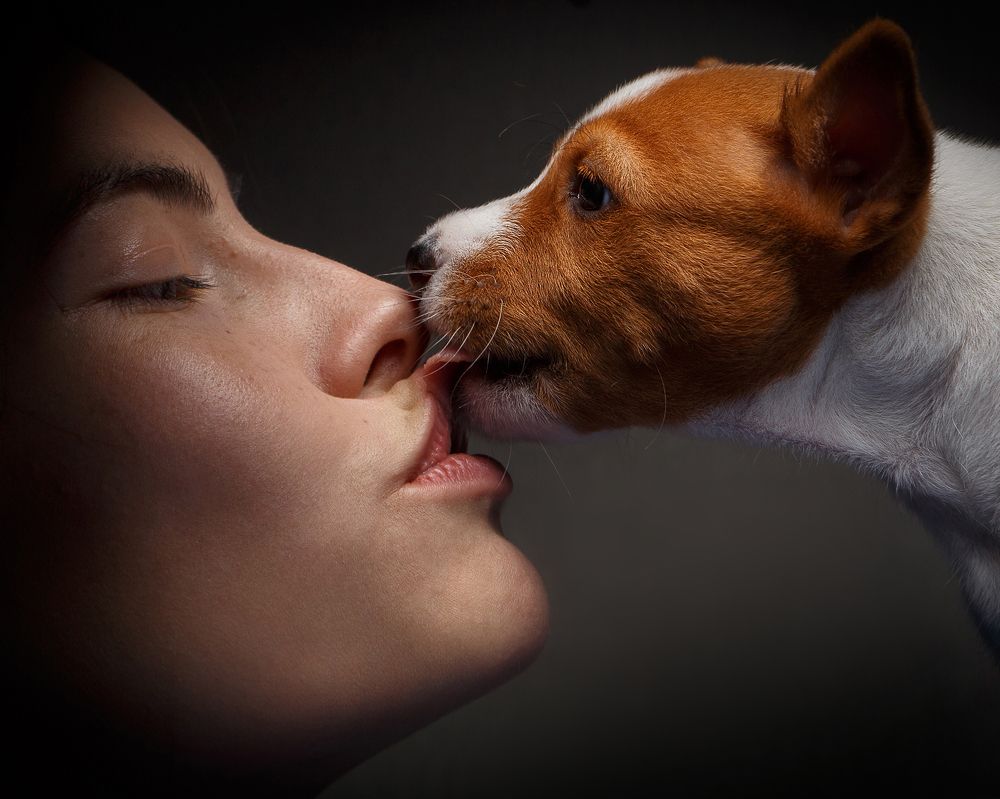 Фотография автора Иван Вострецов