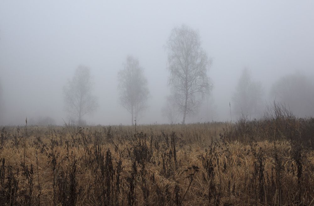 Photograph by Tatiana