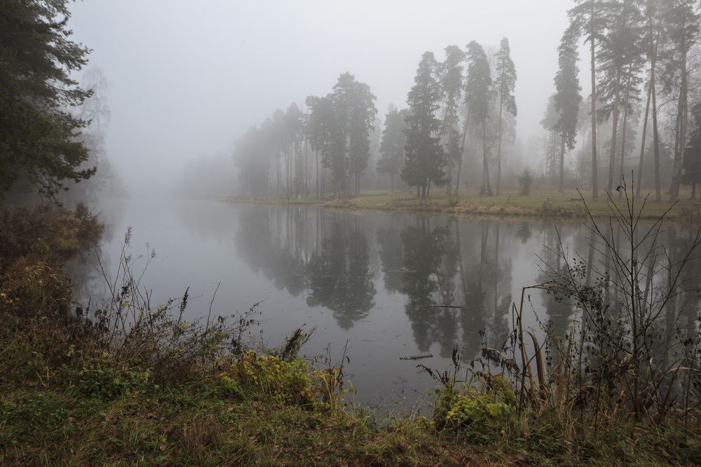 Photograph by Tatiana