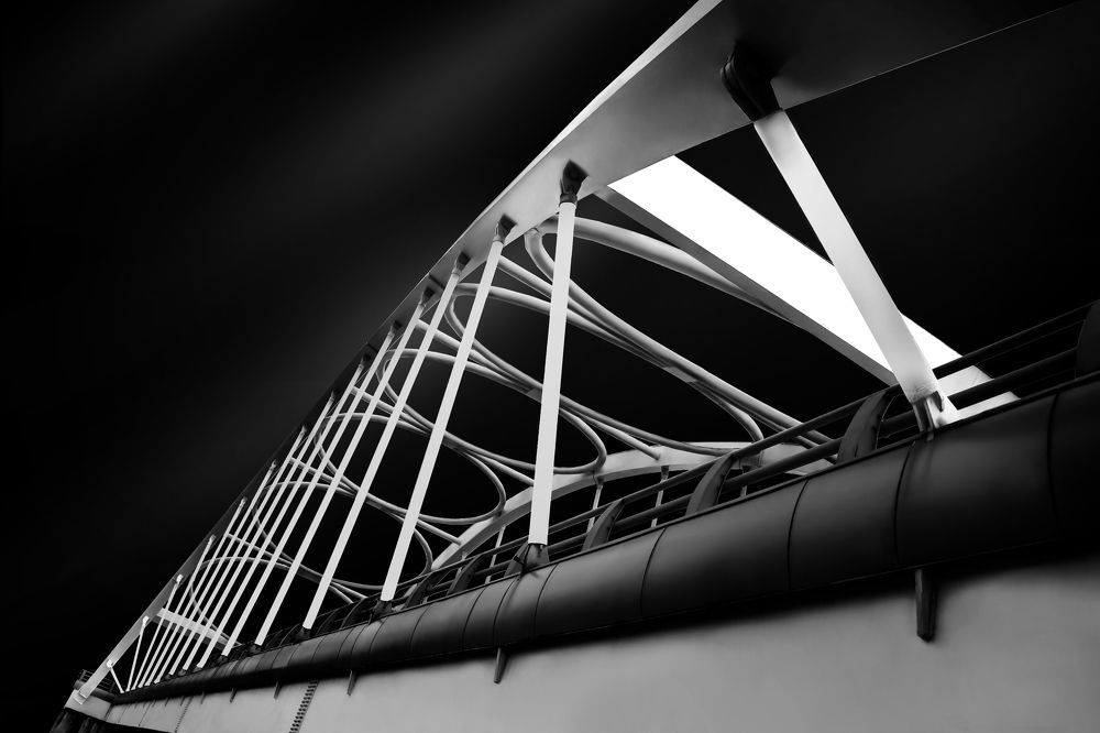 Фотография автора mehrdad Alizadeh