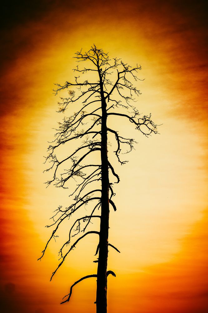 Photograph by Александр Казак