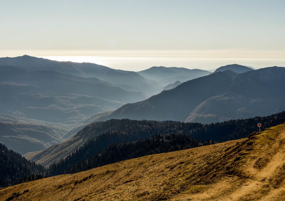 Photograph by Ольга Андрианова