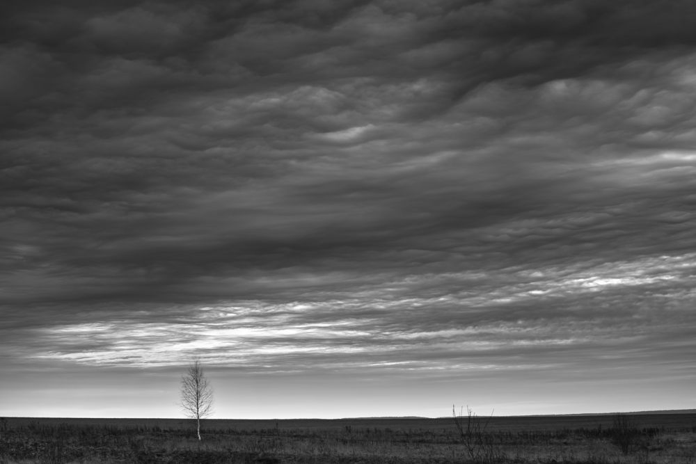 Фотография автора Виктор Руденко