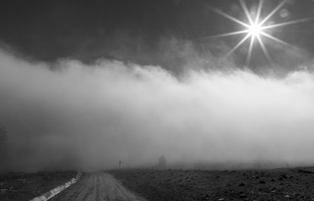 Photograph by TURCZA HUNOR