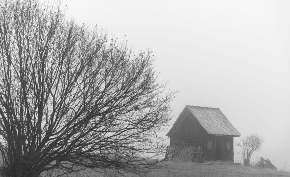 Photograph by TURCZA HUNOR