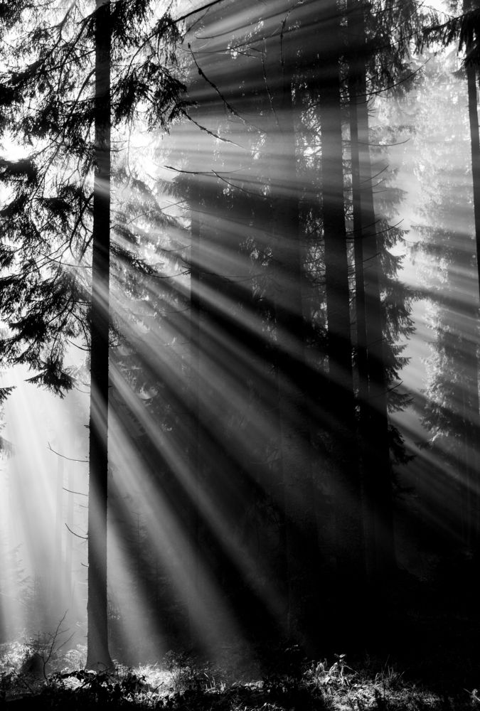 Photograph by TURCZA HUNOR