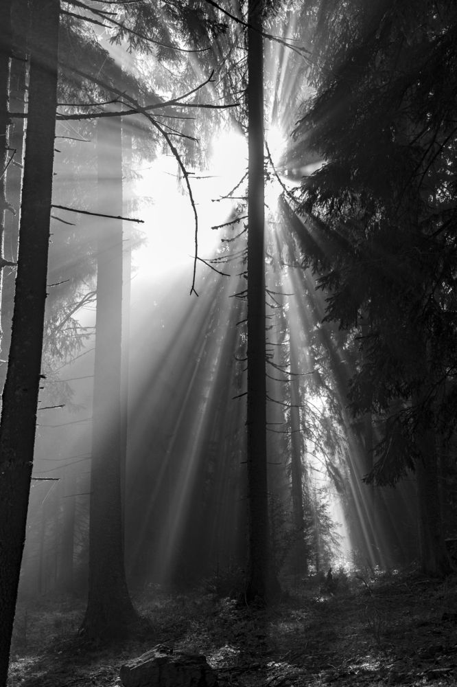 Photograph by TURCZA HUNOR