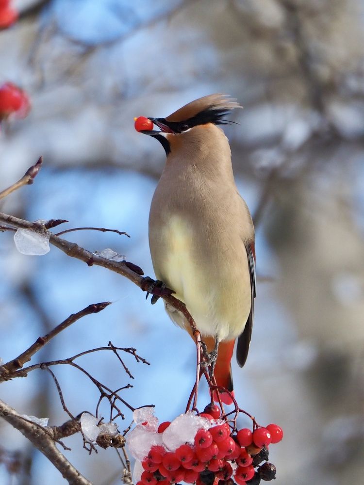 Photograph by Юлия Поршнева
