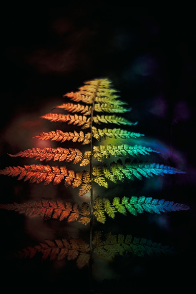 Photograph by Александр Казак