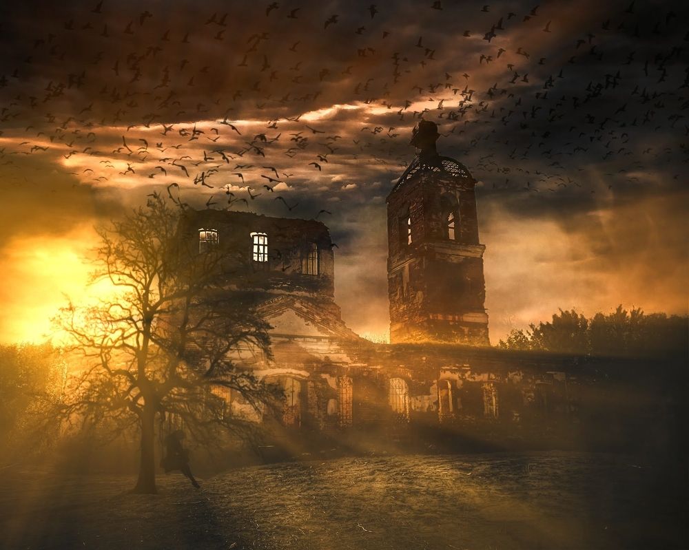 Photograph by Денис Шамров