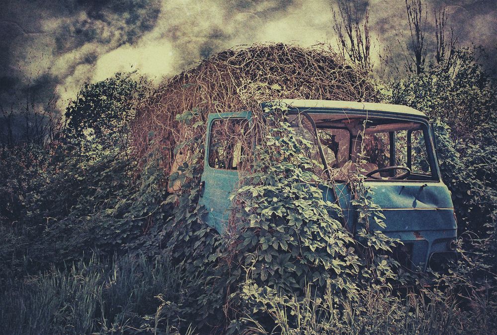 Photograph by Анжела Надежда