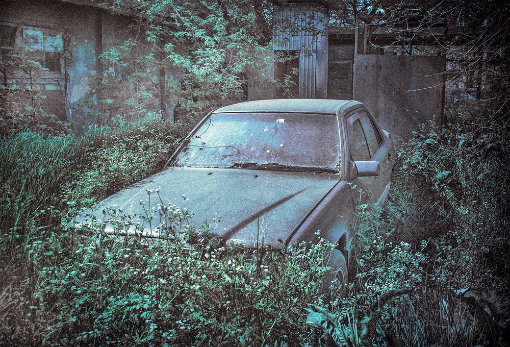 Photograph by Анжела Надежда