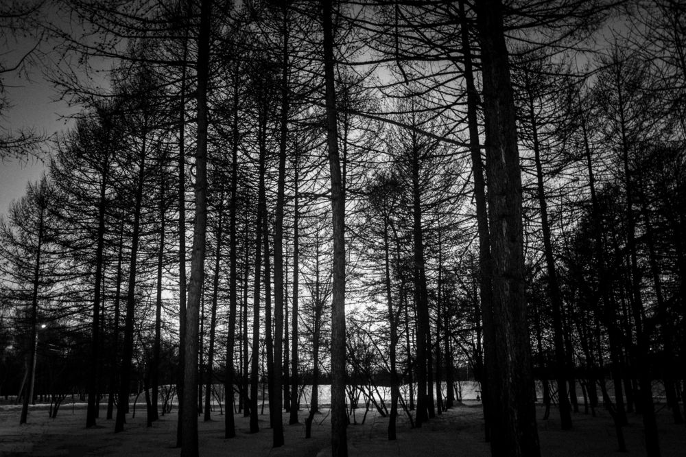 Photograph by Кирилл Станкевич