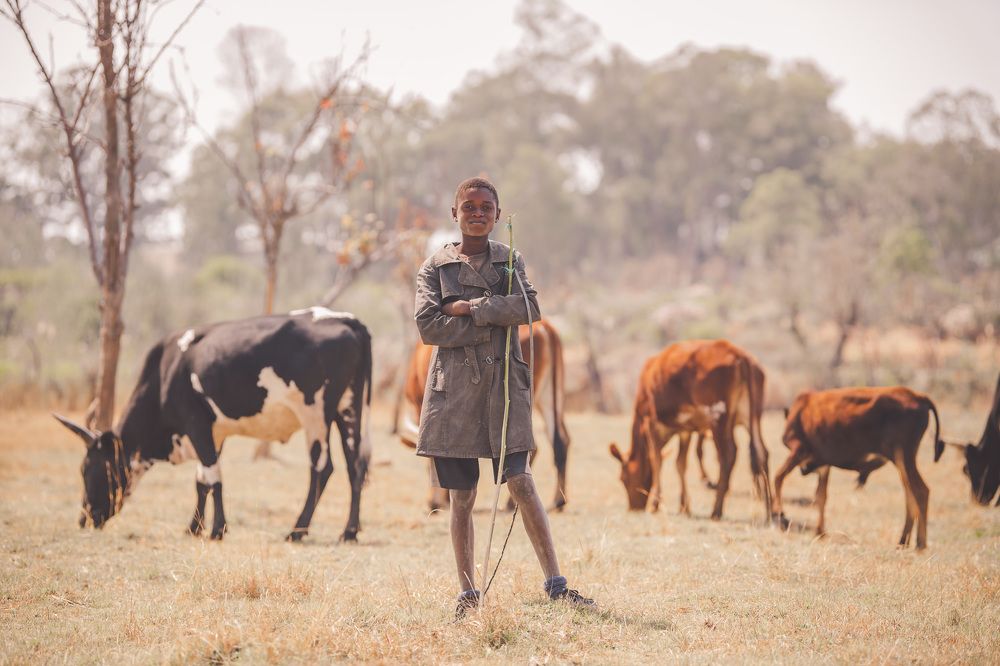 Photograph by Breno Mayoyo Teixeira Luckano