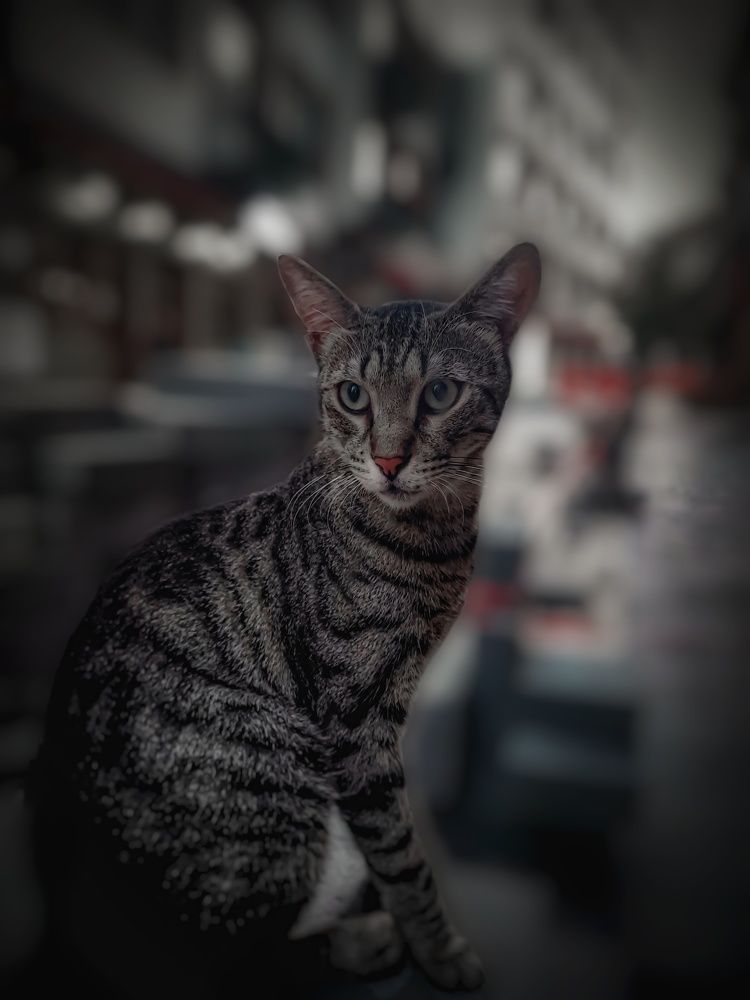 Photograph by Дарья Вега