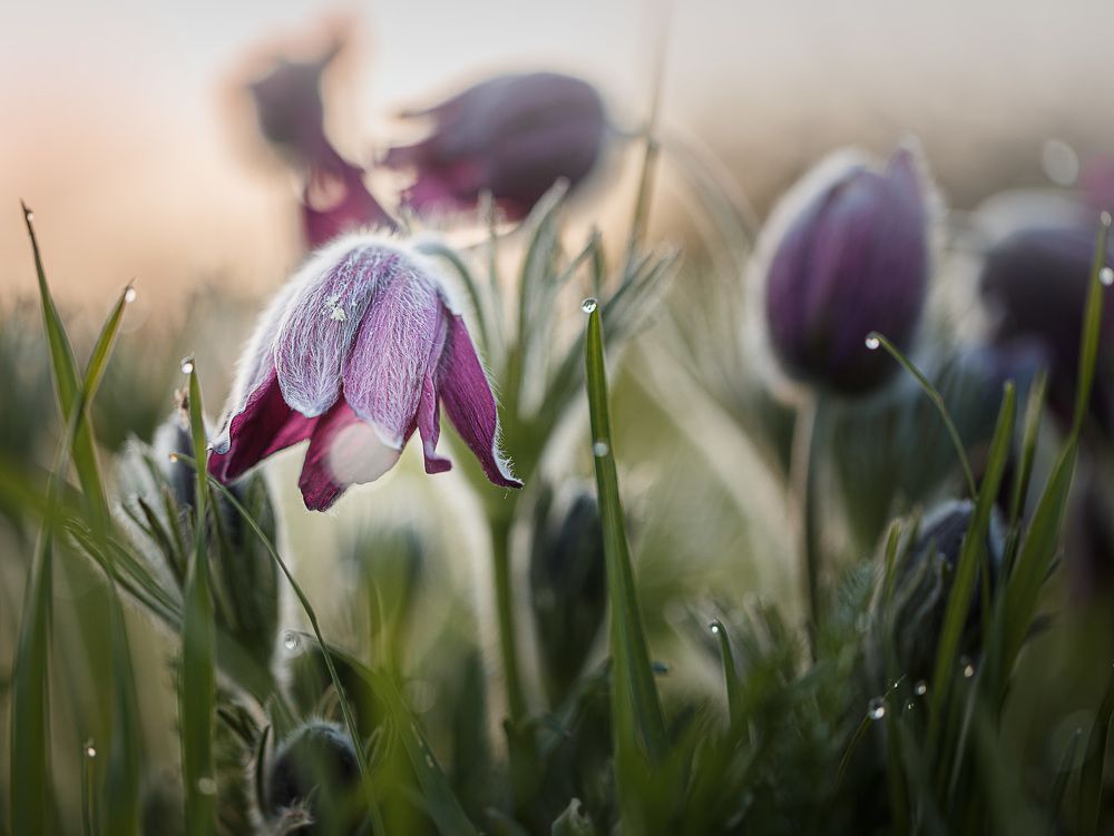 Photograph by Дмитрий Зеленько