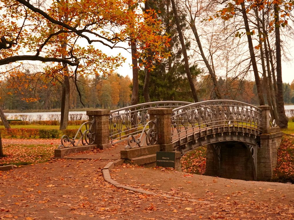 осень в Гатчинском парке
