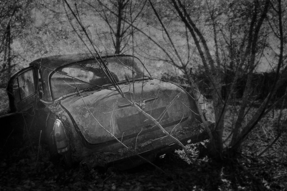 Photograph by Andrzej Wojciechowski