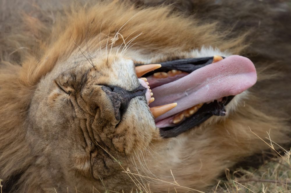 Photograph by Raquel Barao