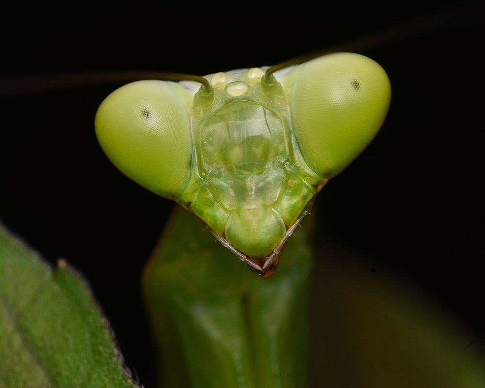 Photograph by Parvathy