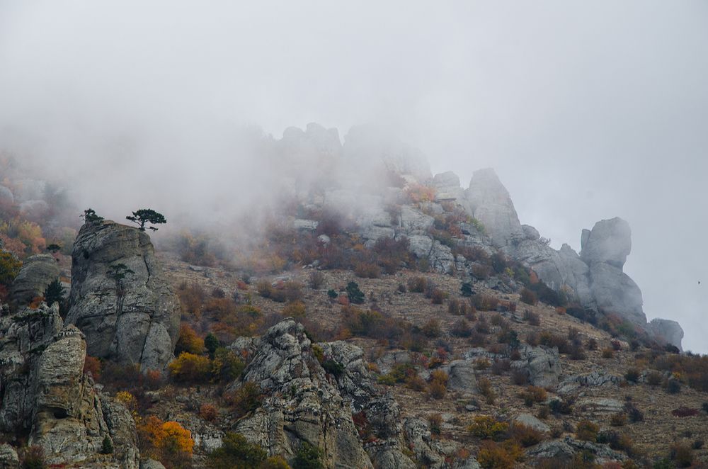 Туман на Демерджи