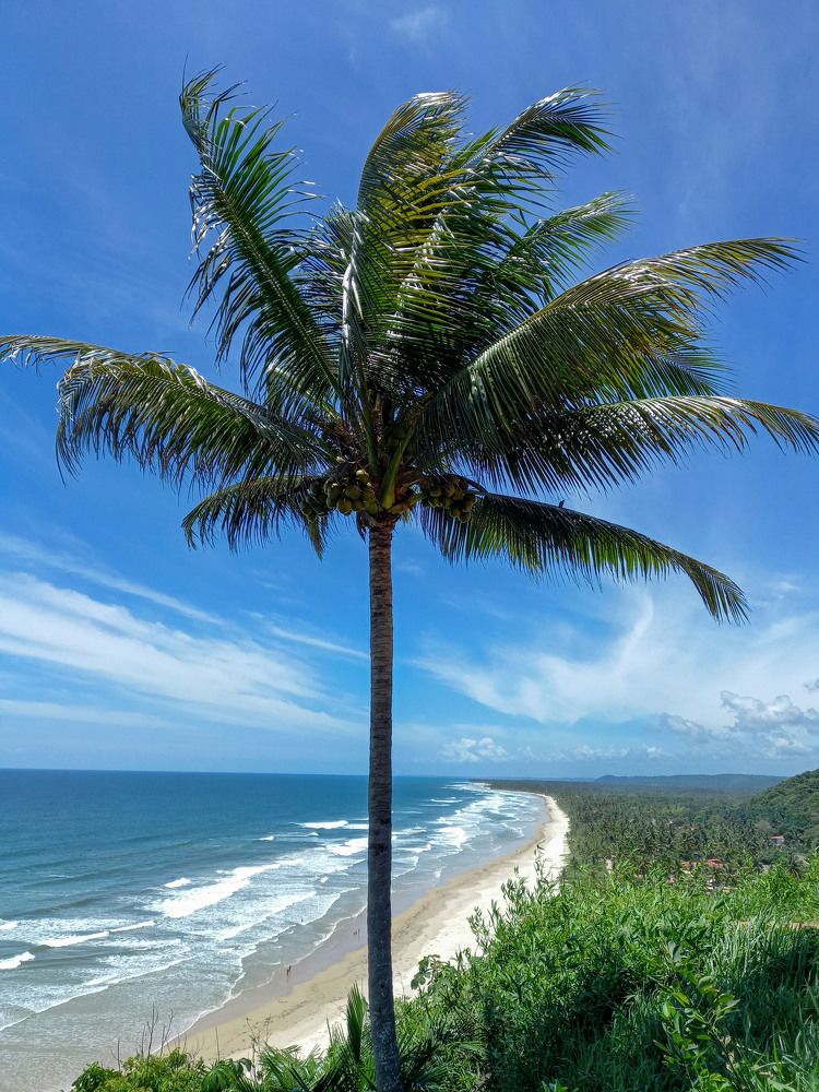 Photograph by Antonio Alves de Oliveira Neto